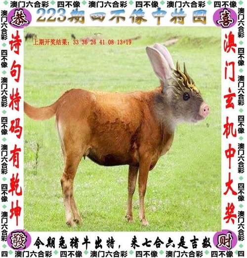 2025新澳门天天开好彩.和无罪释放悬赏寻真凶与《无罪释放》