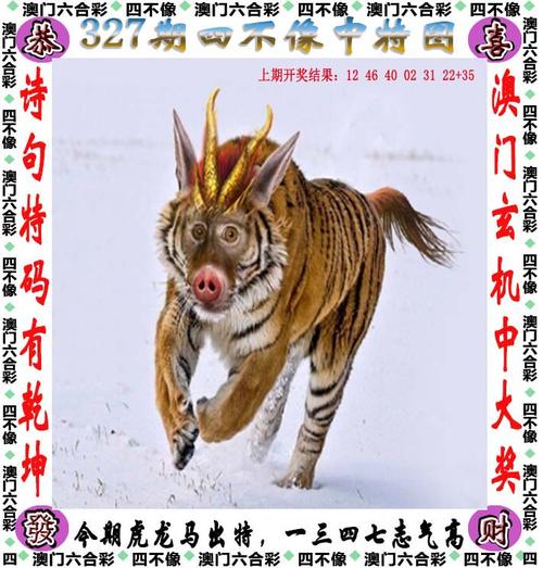 新澳门彩最快开奖记录和戴人皮面具入室盗窃与