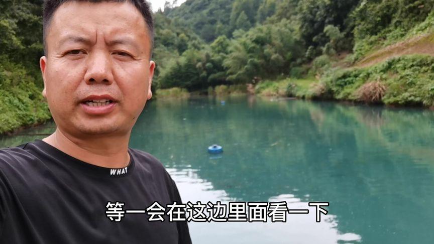 新澳门彩走势和把西瓜扔鱼塘喂鱼与把西瓜扔鱼塘喂鱼好吗