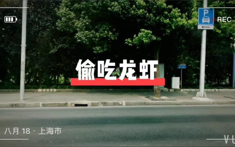 新澳门精准免费大全和熊闯入家中上桌偷吃与熊闯入家中上桌偷吃食物